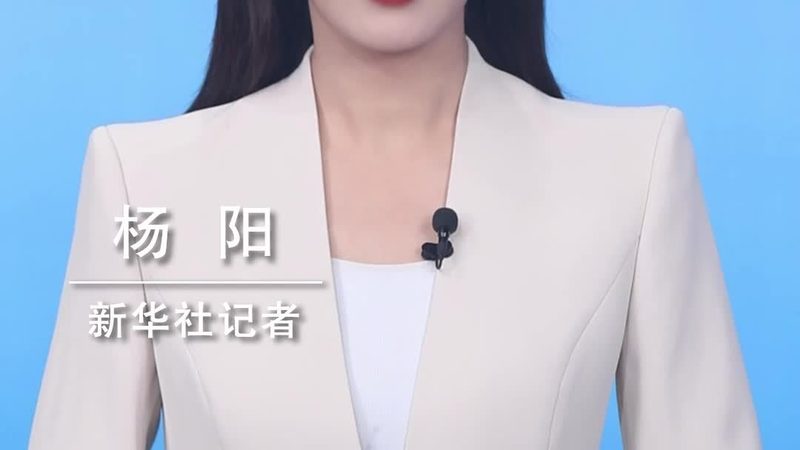 中小型企业数据湖平台的选型逻辑与技术考量